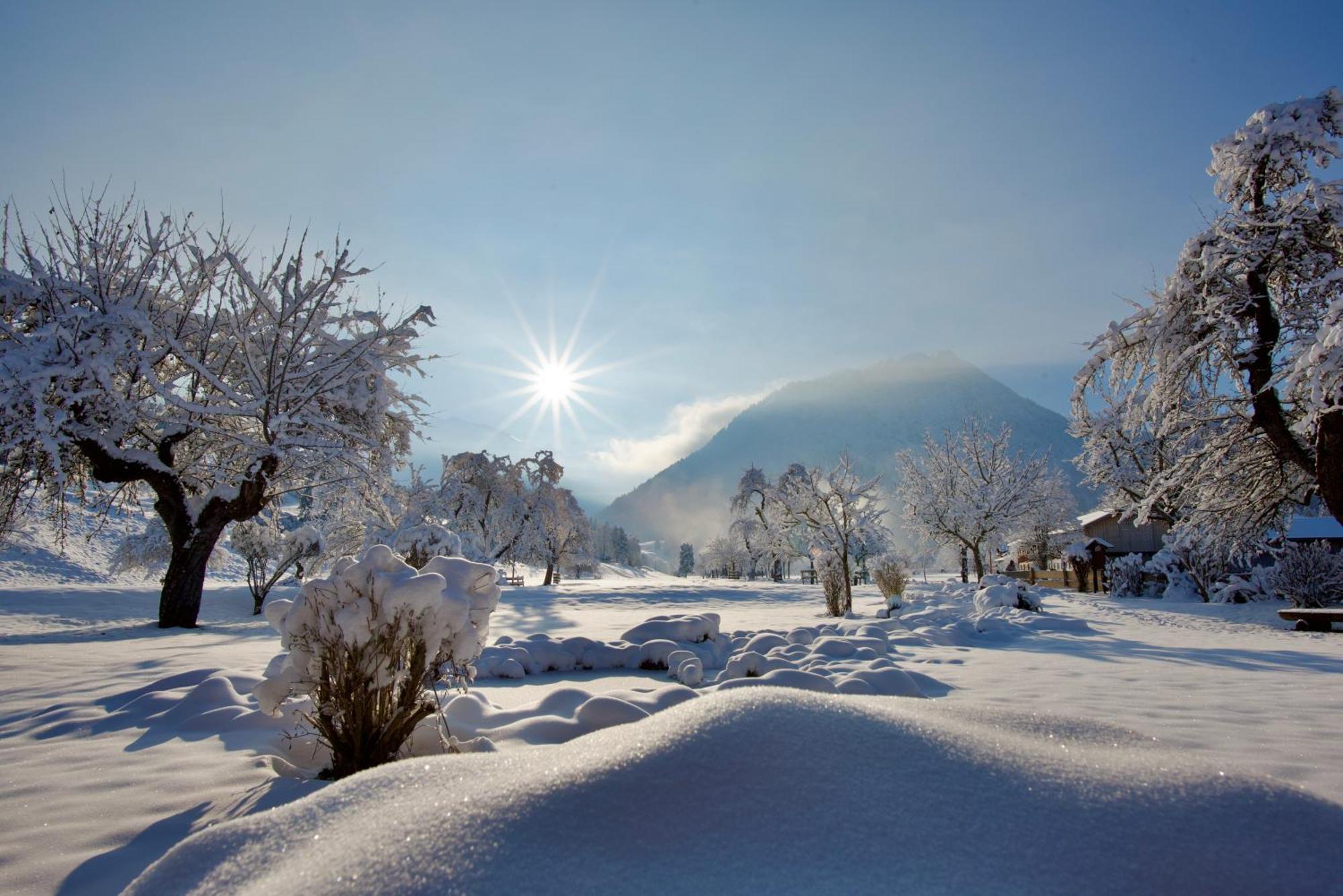 Ferienwohnungen Scheibenhaus Oberstdorf Esterno foto
