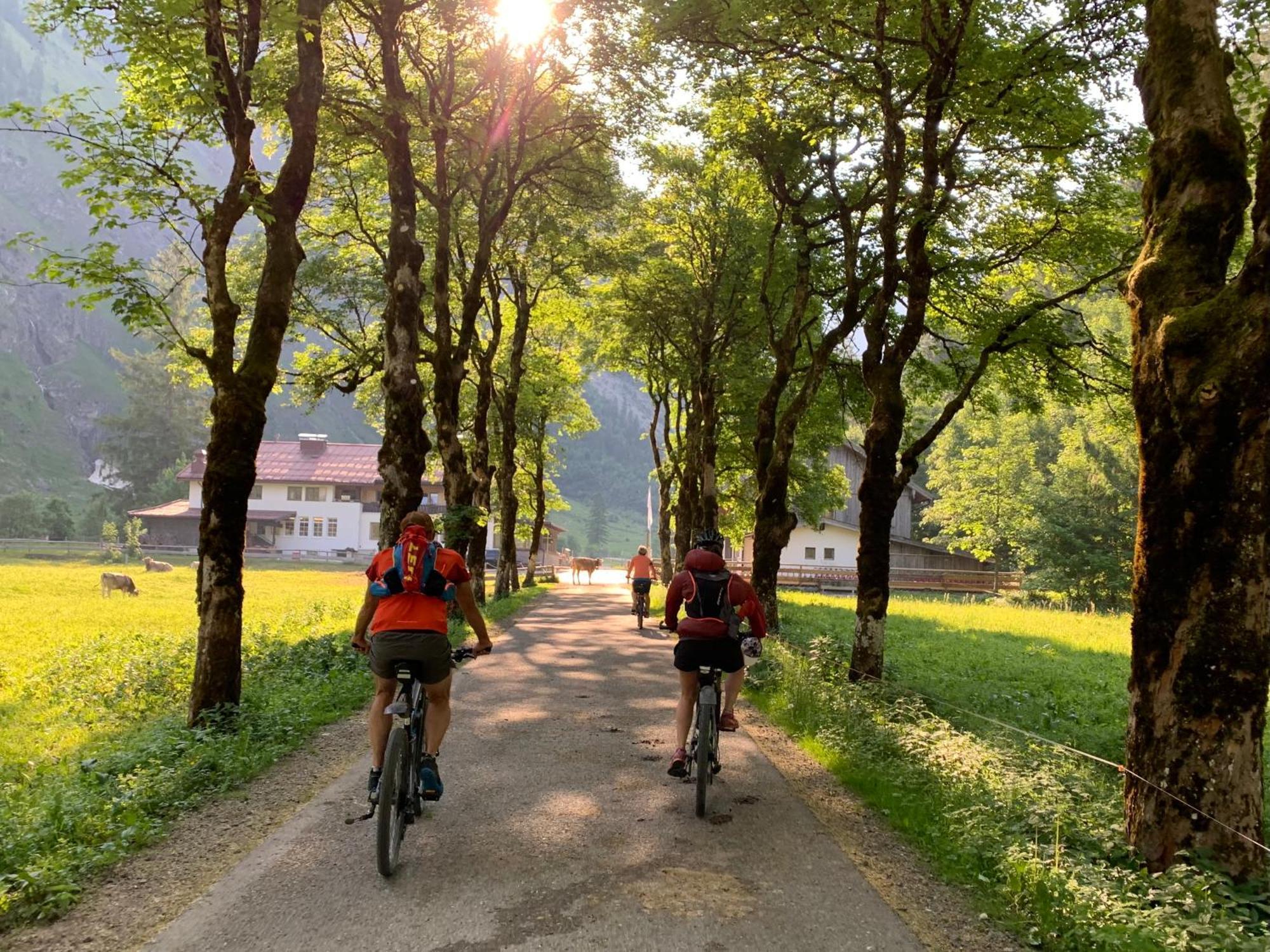 Ferienwohnungen Scheibenhaus Oberstdorf Esterno foto