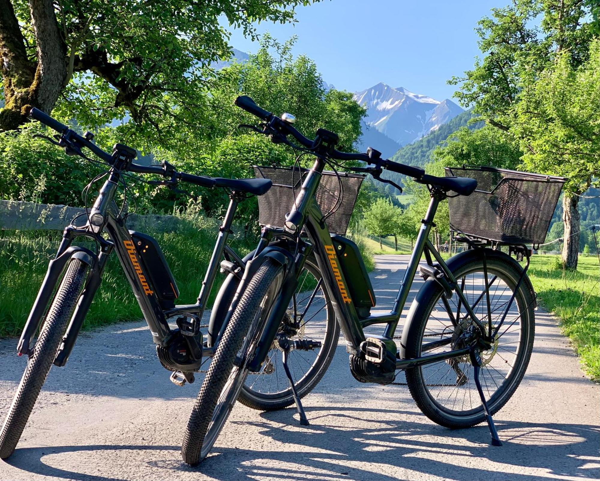 Ferienwohnungen Scheibenhaus Oberstdorf Esterno foto