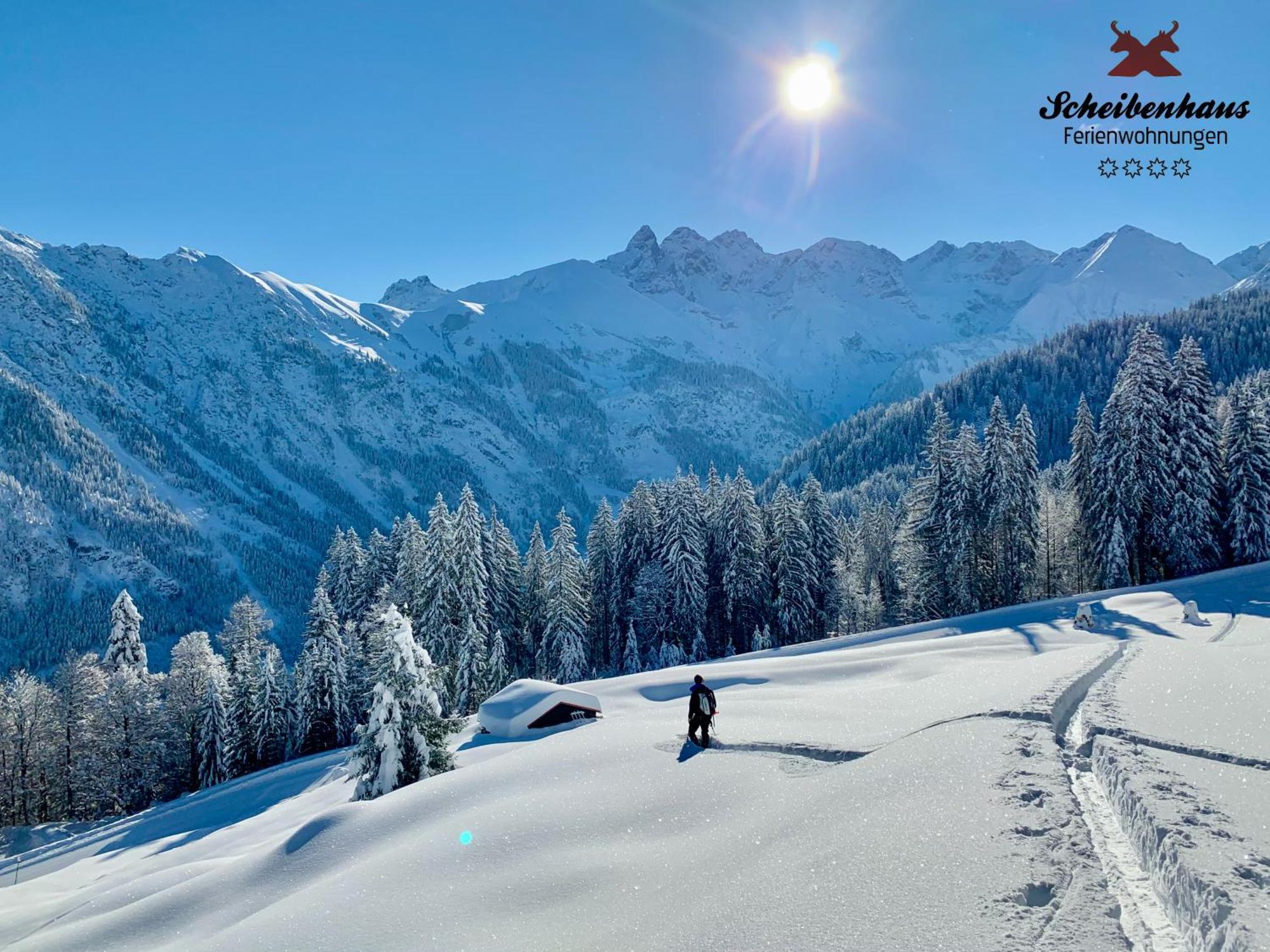 Ferienwohnungen Scheibenhaus Oberstdorf Esterno foto